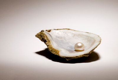 Perle in Muschel