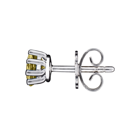 Stud Earrings 6 Prongs Sapphire yellow in Platinum